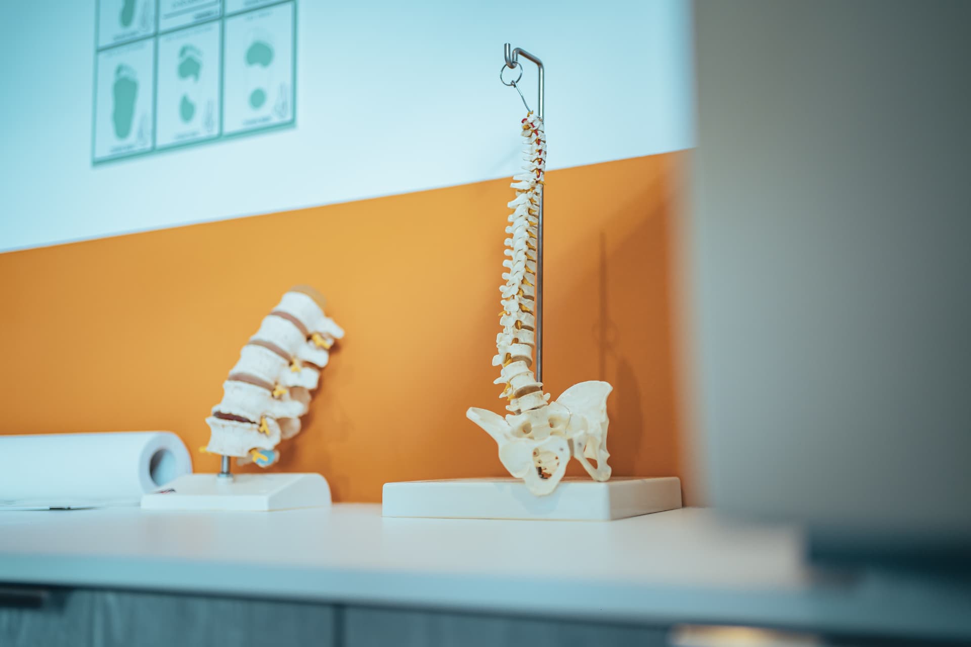 Photo illustrant le Bilan Diagnostic des Scolioses à la Clinique de Posturologie